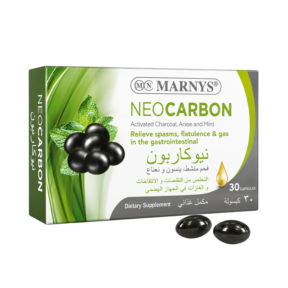 الرئيسية