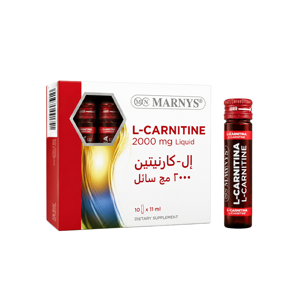 الرئيسية